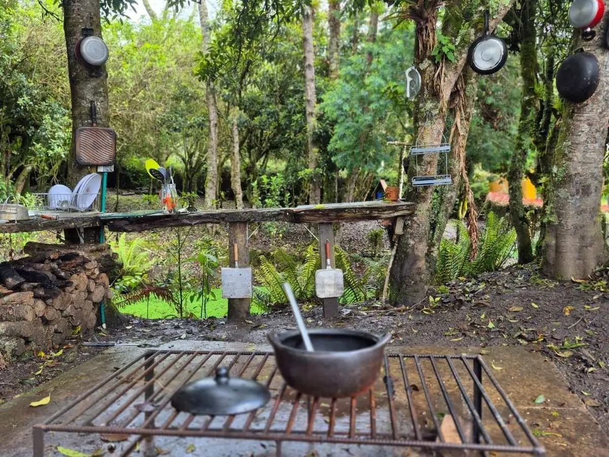 Naturaleza con asado familiar